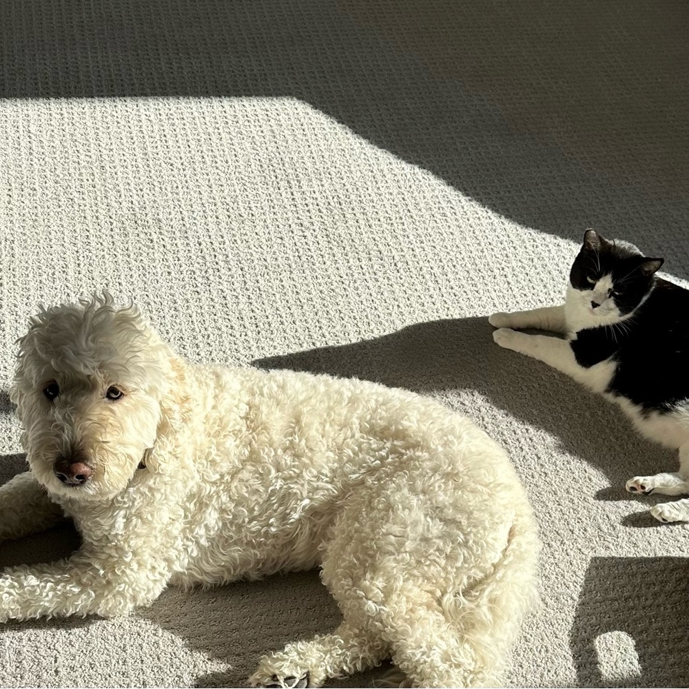 Meet your Posher, Nicole